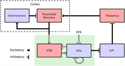 Self-Tuning Deep Brain Stimulation Controller for Suppression of Beta Oscillations: Analytical Derivation and Numerical Validation